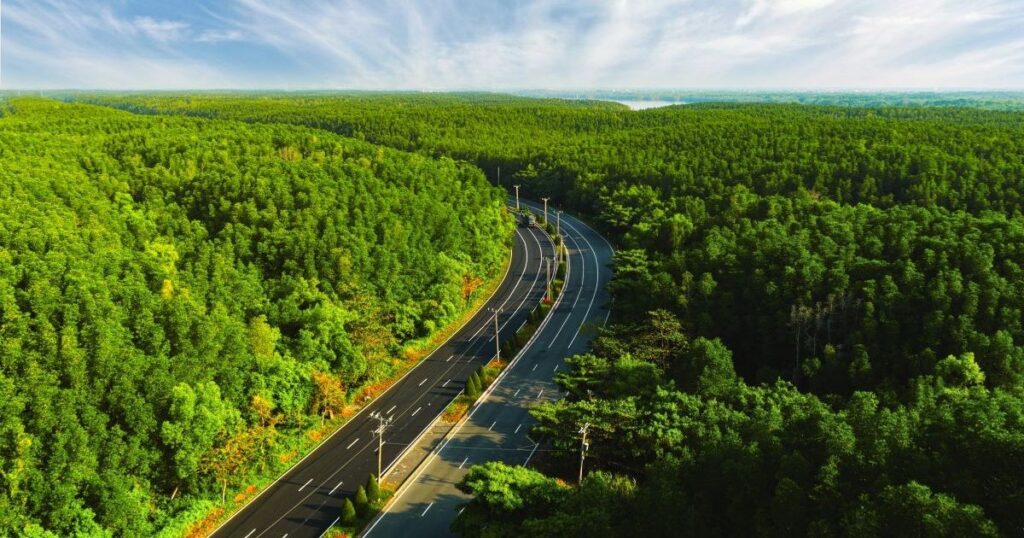 VnExpress Marathon Green Paradise Cần Giờ – Giải chạy bộ giữa sắc xanh ngút ngàn của Rừng Sác và biển trời Cần Giờ