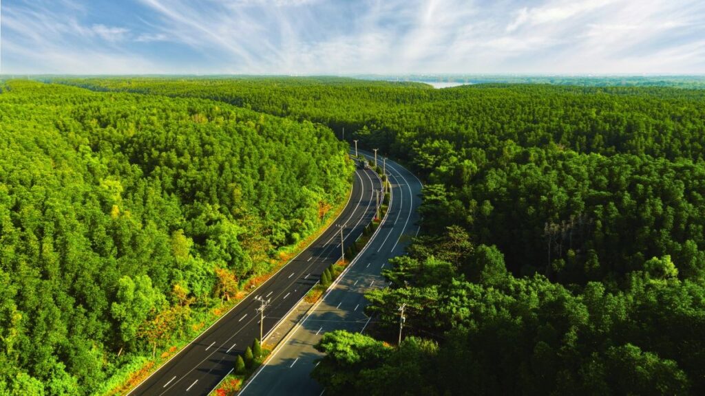 Về Đà Lạt đầu xuân: Những điểm dừng yên giữa phố, rừng và thung lũng